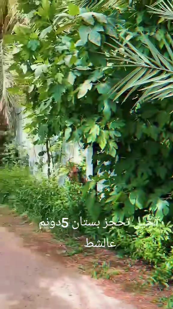 بستان خضار وين متروح  ومزرعة شاطئية الزعفرانية موثقة باجرلي ***********
