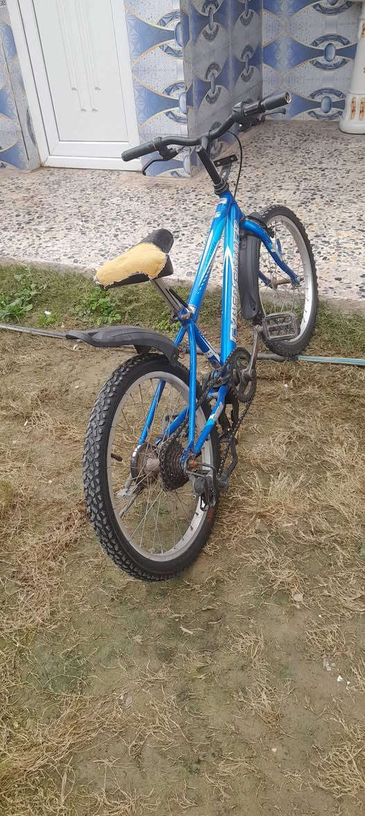 السلام عليكم باسكل للبيع حجم 20 نضافه 96 /100 مكاني الراشديه سعر 75او بي مجال


**إذا كنت صاحب هذا الإعلان وتريد حذفه لأي سبب، رجاءا أرسل رسالة إلى الدعم الفني**