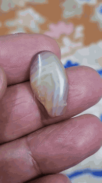 آلَلَهۣۗہمۣۗـۙ 💠صۣۗـۙلَِّ 💠عۣۗـۙلَى💠 مۣۗـۙحۣۗـۙمۣۗـۙد 💠وُآلَ مۣۗـۙحۣۗـۙمۣۗـۙد 💠وُعۣۗـۙجۣۗـۙلَ 💠فۣۗـۙرجۣۗـۙهۣۗہمۣۗـۙ
جمعه مباركه
جزعه يمانيه قديمه للتواصل خاص او على الرقم

***********
