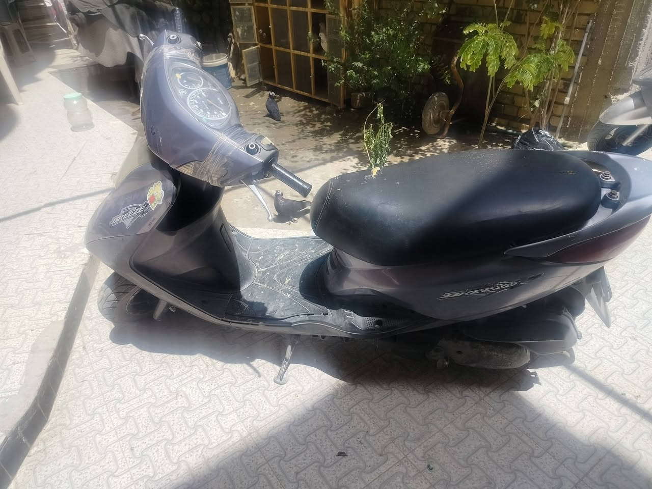سلام عليكم
دراجه بريز نوزل نضيفه برغي ما مفتوح بيهه  تاخذهه تفحصها وين ما يعجبك سعرها 750 ناصريه مركز المدينة ***********
