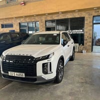 بالسايد • ٢٠٢٤ • بغداد