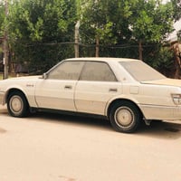 مراوس • بسمند • بيجو