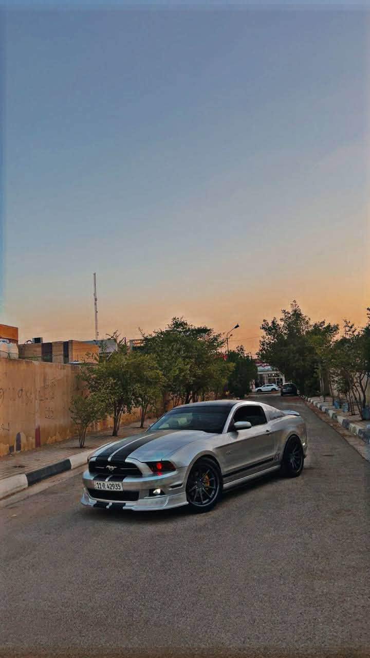 فورد موستنك موديل ١٤بريموم
دشبول سبع الوان 
داخل سبع الوان 
دوس ضوئيه 
داخل جلد 
لحيه ارتي ار 
دفيوزز 
جناح 
عدسه عين الشيطان 
لد احمر 
بك لايت وكاله 
اكزوز بوابه 
ويل فيرداه 
سكوبات خلفيه 
حادثه سرقه جاملغات اماميه 
وجاملغ خلفي معجون قليل
ابيع حزام  
باسمي 
كير جيد 
مكينه جديده 
تبريد 
حداديه جديده 
باسمي تحويل ثاني يوم هزه جديده 
نقصه شغلات بسيطه كلش ميكلفن ١٥٠الف
مكاني كربلاء 
***********

متواجد علنت 
معجبك المنشور عوفه تولي
