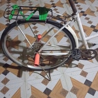 باسكال • للبيع • للجادين