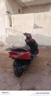 سكنس • ٢٠٢٤ • سلف