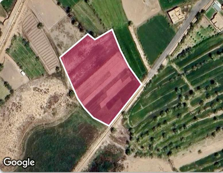 للبيع — أرض زراعية/سكنية مطلّة على الشط الحله 
موقع الارض: النخيلة الغربيه /  وره الاروائي الشط مباشرة — مقابل المزارع التي تقع على الشط لها ثلاث طرق 
طريق يمر على طول الارض.
مساحة القطعه الواحده  1497.35 م² كما موضع في الخارطة 
الموقع : https://maps.app.goo.gl/w1F4yoT7yTgo5qyG9?g_st=ipc
ثلاث قطع الاخيره معروضه للبيع 
الارض ممسوحة رسمي ومطلع بيها خريطة وقياسات دقيقة بالـGPS. 

للاستفسار : ***********
