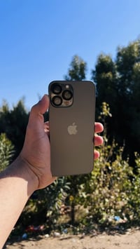 نضيف • مكفول • ٢٥٦