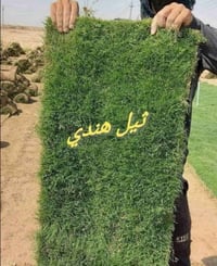 ثيل • توصيل ثاني يوم • حسب الطلب