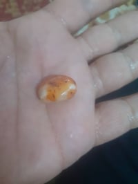 حجر سليماني