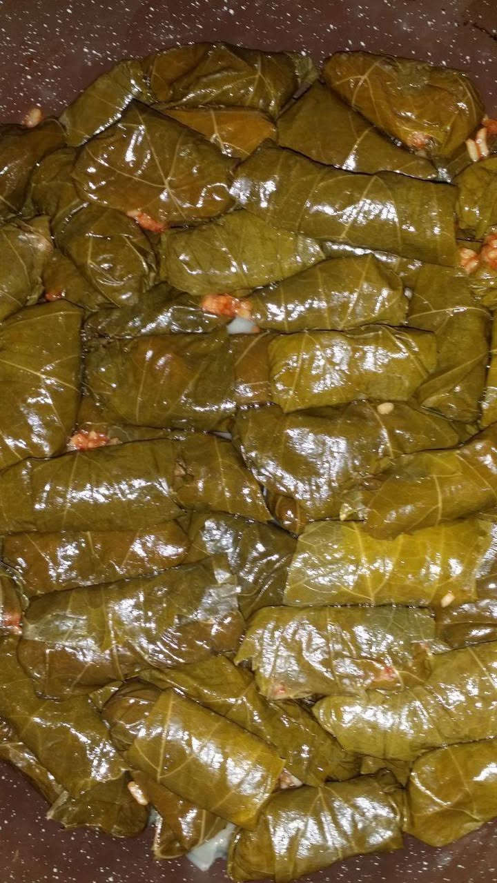 ماتعزمين الحبايب شمنتضره 💓 جدر دولمه الطعم يخبل 🫶 من مطبخ ام زهراء جربوهه مره تعيدوهه الف مره وحبايبج يكللج عاشت ايدج 🤭 وجويسم يكيف حته مايروح يتسوك  عيوني اكو دولمه بلضلوع واكو بدون ضلوع كلشي وسعره 🎀 الحجز عالواتساب عيوني موتقررين تعزميهن بسرعه انطيني خبر قبل ساعتين اوتلاثه تقريبا حته اادژهه حاره وتخبل ***********
