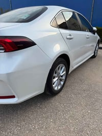 كورلا • ٢٠٢٢ • رقم اربيل