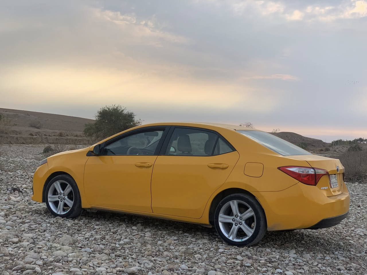 السلام عليكم اخوان كورلا موديل 2015 رقم بغداد سنويه لل 2028 تحويل ثاني يوم وكيل اول اني بيها بطاقه بانزين ضرر جامرلغ سايق مبدل ويا بطانه جامرلغ وباب خلف سكن مبدل وبيها تصفيات بدون ايرباك بدون شاصي سياره حلوه تبريد تدفئه نقص فقط درايم شفت داخلي محرك بي تنقيص شويه ويل وتايرات جدد حجم 17 صدر 90 بالميه سعر 130وبيها مجال شراي خابر *********** وكلشي اكو بسوك مكاني كركوك حي النصر
