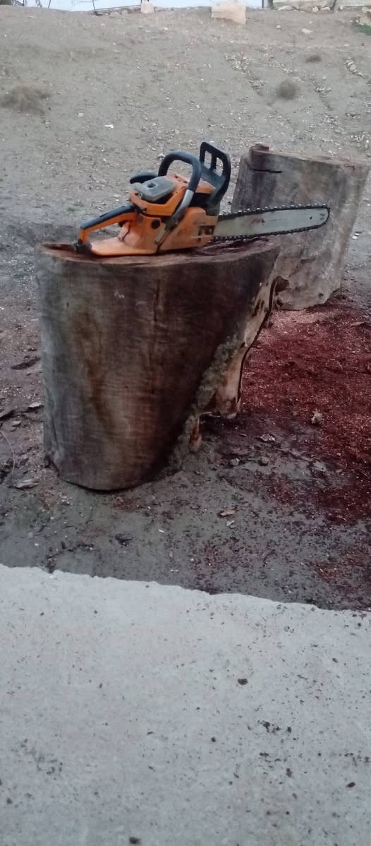 السلام عليكم سجر كالبتس يرهم حطب ويرهم مال گصاصيب
***********
