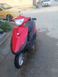 ماكس عدلة • بوشة ٥٥ • كربلاء