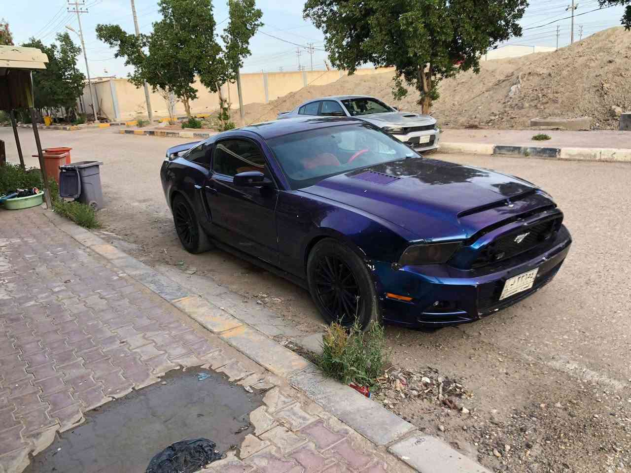 فورد موستنغ 2010 محدثه 2014 
بصره مشروع وطني تحويل ثاني يوم
كير مكينه كفاله صار ايام من شديتهن
تخم تاير تو سايز جديد وويلات مميزه
سعرها بلاش ب 58 وبيها مجال قليل
 بصره قضاء المدينه ***********
