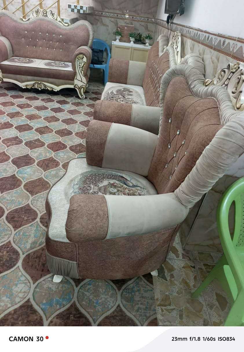 تخم تسكام شرط النضافه  للبيع 5قطع 10نفرات السعر خاص او الاتصال ع الرقم ***********
