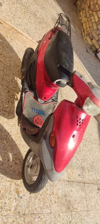 دراجة • تسعة • أوراق