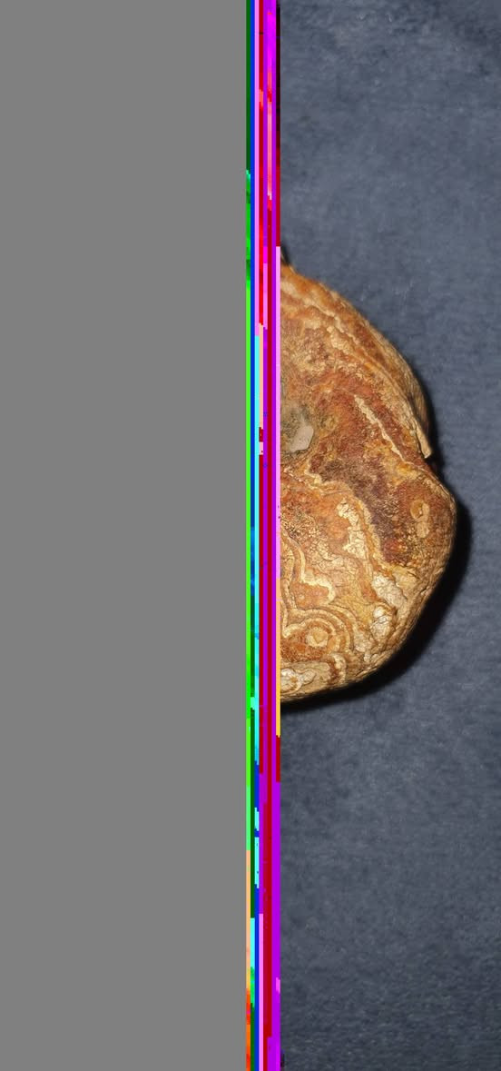 السلام عليكم قطعه فخمه وحجمها كبير للبيع


**إذا كنت صاحب هذا الإعلان وتريد حذفه لأي سبب، رجاءا أرسل رسالة إلى الدعم الفني**