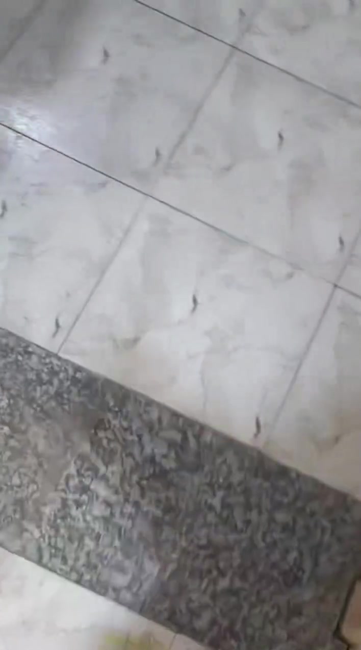 *********** خلفه سيراميك وترميم المنازل والبخ
*********** مكاني طوريج وبابل وكربلاء
