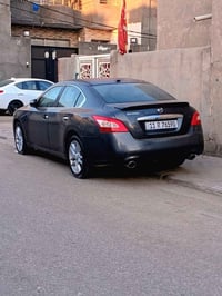 ماكسيما • ٢٠١١ • رقم بغداد