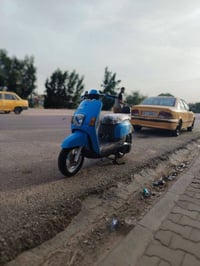 ماكس بوليس • مافتوحه • زنون