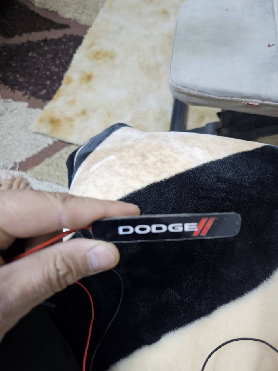 كلمن وسعره ويوجد توصيل


**إذا كنت صاحب هذا الإعلان وتريد حذفه لأي سبب، رجاءا أرسل رسالة إلى الدعم الفني**