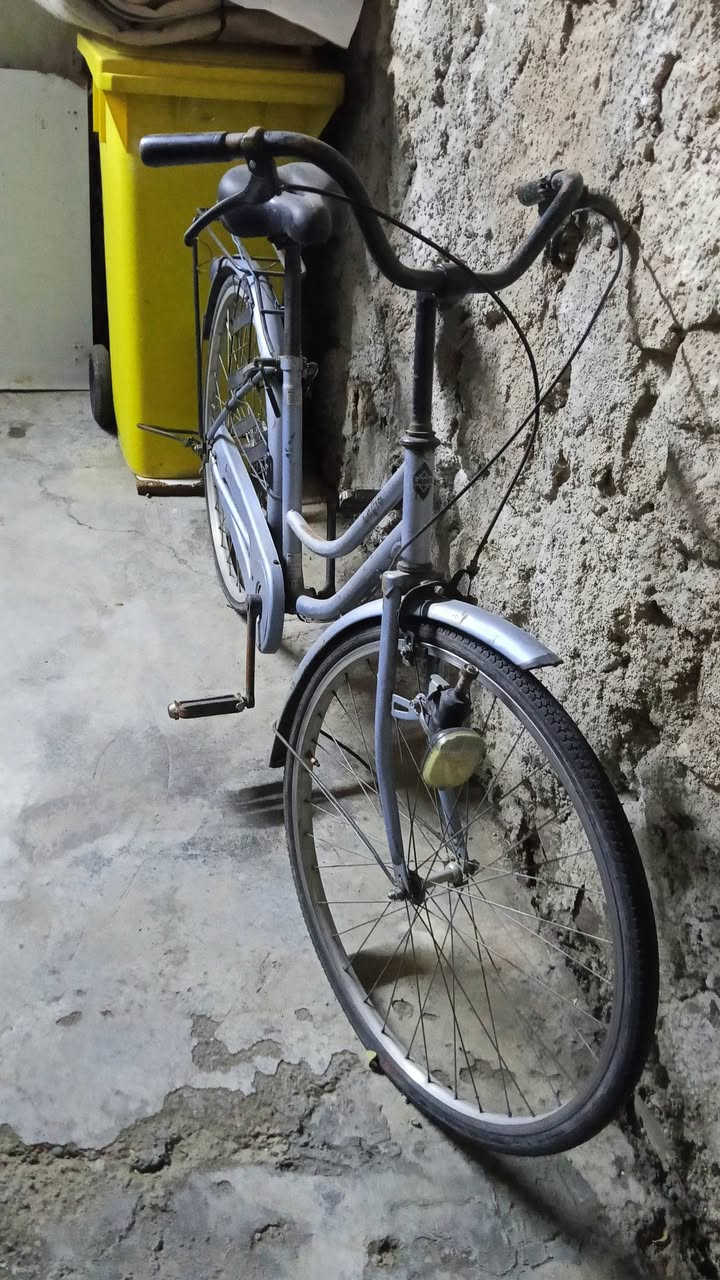 بايسكل ياباني اصلي  كله بلاد شرط مامغير اي شي بي لوك بايسكل سعره 90وبي مجال


**إذا كنت صاحب هذا الإعلان وتريد حذفه لأي سبب، رجاءا أرسل رسالة إلى الدعم الفني**