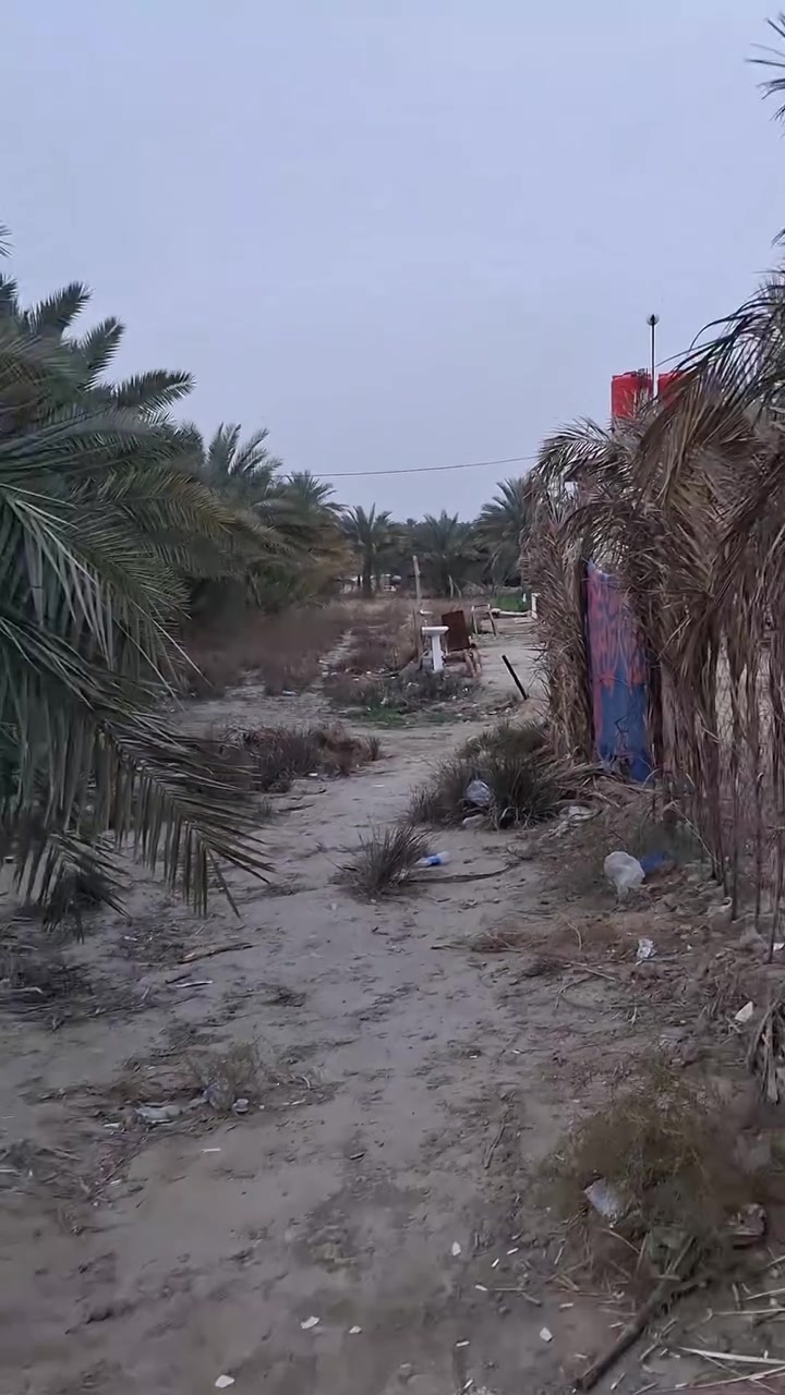 السلام عليكم للبيع نص دونم طابوزراعي سند٢٥ كافت الخدمات موجوده بابل حله النيل ***********
