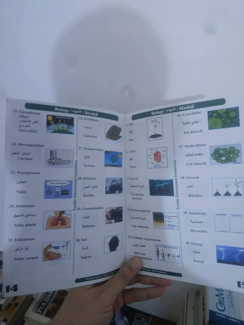 معجم علمي مصور مبسط للأطفال
باللغة الإنجليزية والعربية والتركية
سعر الكتاب الواحد 1000 دينار
التوصيل 5000 آلاف لجميع محافظات العراق


**إذا كنت صاحب هذا الإعلان وتريد حذفه لأي سبب، رجاءا أرسل رسالة إلى الدعم الفني**