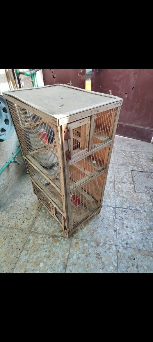 السعر 50 المكان حي الفرات


**إذا كنت صاحب هذا الإعلان وتريد حذفه لأي سبب، رجاءا أرسل رسالة إلى الدعم الفني**