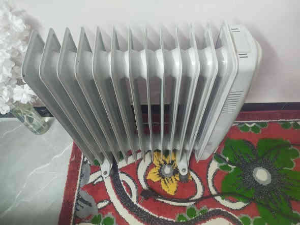 للبيع صوبه زيتيه على الفحص كلشي مابيه
السعر 75 الف بابل منطقة عنانه مامتواجد على الفيس بوك اتصل اي استفسار 
***********
