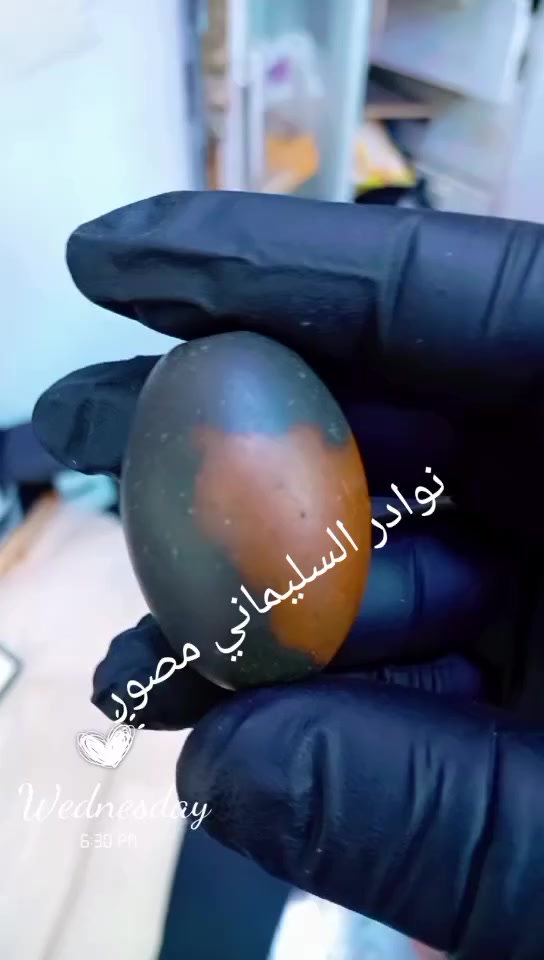 انواع الاحجار والخواتم والمداليات اسعار مناسبه بصره القديمه سوق العقيل شارع أهل  الجام قاهر الاسعار ابو حسين المحمداوي


**إذا كنت صاحب هذا الإعلان وتريد حذفه لأي سبب، رجاءا أرسل رسالة إلى الدعم الفني**