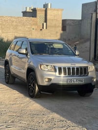 لاريدو • ٢٠١٣ • كفاله عامه