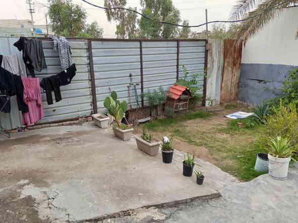 السلام عليكم بيت زراعي للبيع مساحه البناء ١٠٠ متر مع حديقه وكراج  مساحتهم ١٤٠ متر عل شارع العام 
شارع السمجه الدوانم نهايت الشرطه الخامسه يتكون من صاله ومطبخ وحولي كبير وحمام مشترك كبير و2غرف نوم وترك وكراج وحديقه  
للاستفسار والتواصل على الرقم ***********
