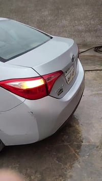 كورله • ٢٠١٧ • رقم أربيل