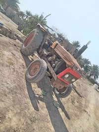 عنتر ٨٠ • ماكو نقص • هيه وفدان