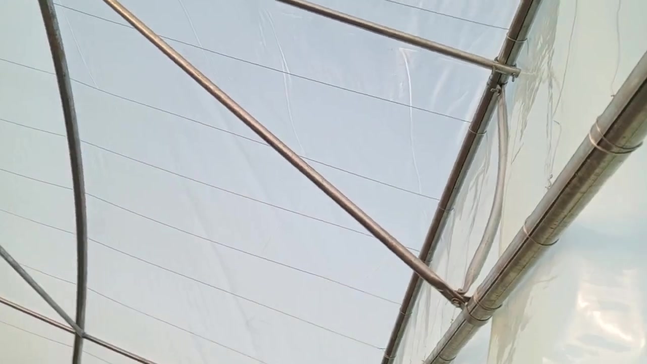 تم بعون وصول وجبة جديدة
من البيوت البلاستيكية
لبناني الصنع  حامل شتل كبس
عدد الاقواس /22/
العرض /9/ متر
الطول /52/ متر
جاهز مع الابواب والسيم والنايلون السعودي المنشآ
مكاني بابل جبله. الطريق السريع
للاستفسار عل الارقام التالية ‏‪‏‪***********‬‏
‏‪***********‬‏
