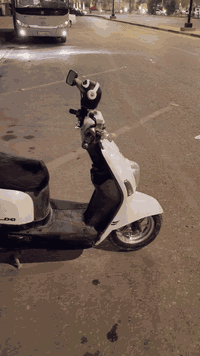 دراجه للبيع بوليسي نظيفه مقفوله السعر 600 وبيها مجال الرقم 07773923090