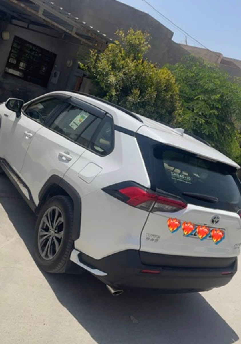 فول سازياباني هايبريت *********** كركوك, العراق
