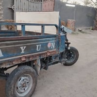 ستوته دايوان • بدون أوراق • المحمديه