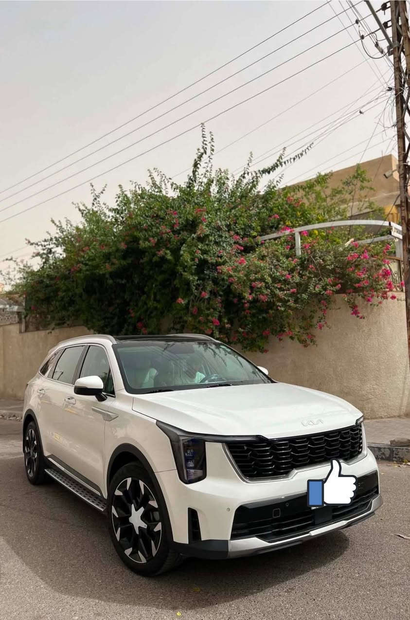 سورنتو. ٢٤.  نص فول.  مكفوله.  ماشيه. ٢٨.  مقلفه نانو بلكامل.   ***********
