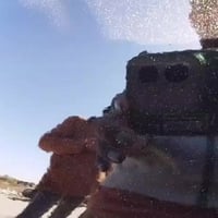 بانده • سوزوكي • اصل