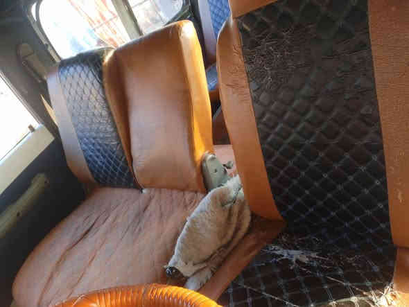 سلام عليكم تم تفصيخ كيا بستة دوشمة جديدة تخم تايرات دشبول حاوية شمحتاج موجود بغداد التاجي مقابيل المعسكر التاجي قرب معمل العامر شارع الخدمي ***********//***********
