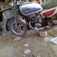 جني • دبل بلك • بدون أوراق