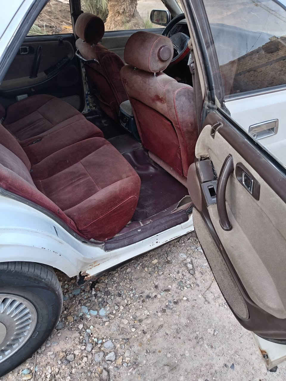 ادوات ادوات بدون كصه جاهزه مابيه اي نقص مكينه كير ٢ونص حداديه طخم تاير صار يومين من شاده كهربائيات مكاني ناصريه سوق شيوخ سعر ٢٠ هاتف ***********
