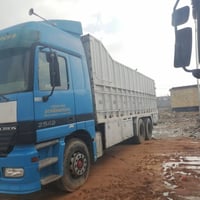 بدي طول ٧٥٠ • ديوانية