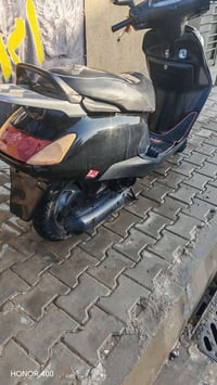 سبيسي • ياباني • زنون