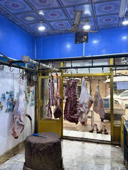 ياالله اللهم صلي على محمد وآل محمد ذبح اليوم الثلاثاء المصادف 16بشهر عجل عراقي دراجه اوله الله شاهد كليو لحم ب 12الف والجمله ب11الف محل ابو علي الكصاب أتريد لحم اهواي بخدمتك تجي للمحصار تاخذ العجل اليعجبك ونذبحه الك واحنه بخدمتكم والله يرزق الجميع انشاء الله نتشرف بل جميعع

***********
