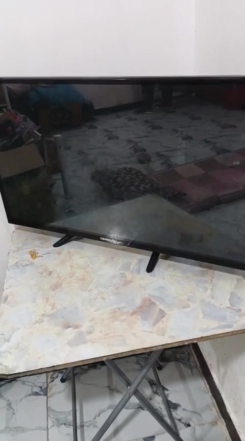 بلازمه ام النت حجم 42 كلشي مابيهه صوت ودقه سعر 125 مكاني خور الزبير اسمده


**إذا كنت صاحب هذا الإعلان وتريد حذفه لأي سبب، رجاءا أرسل رسالة إلى الدعم الفني**