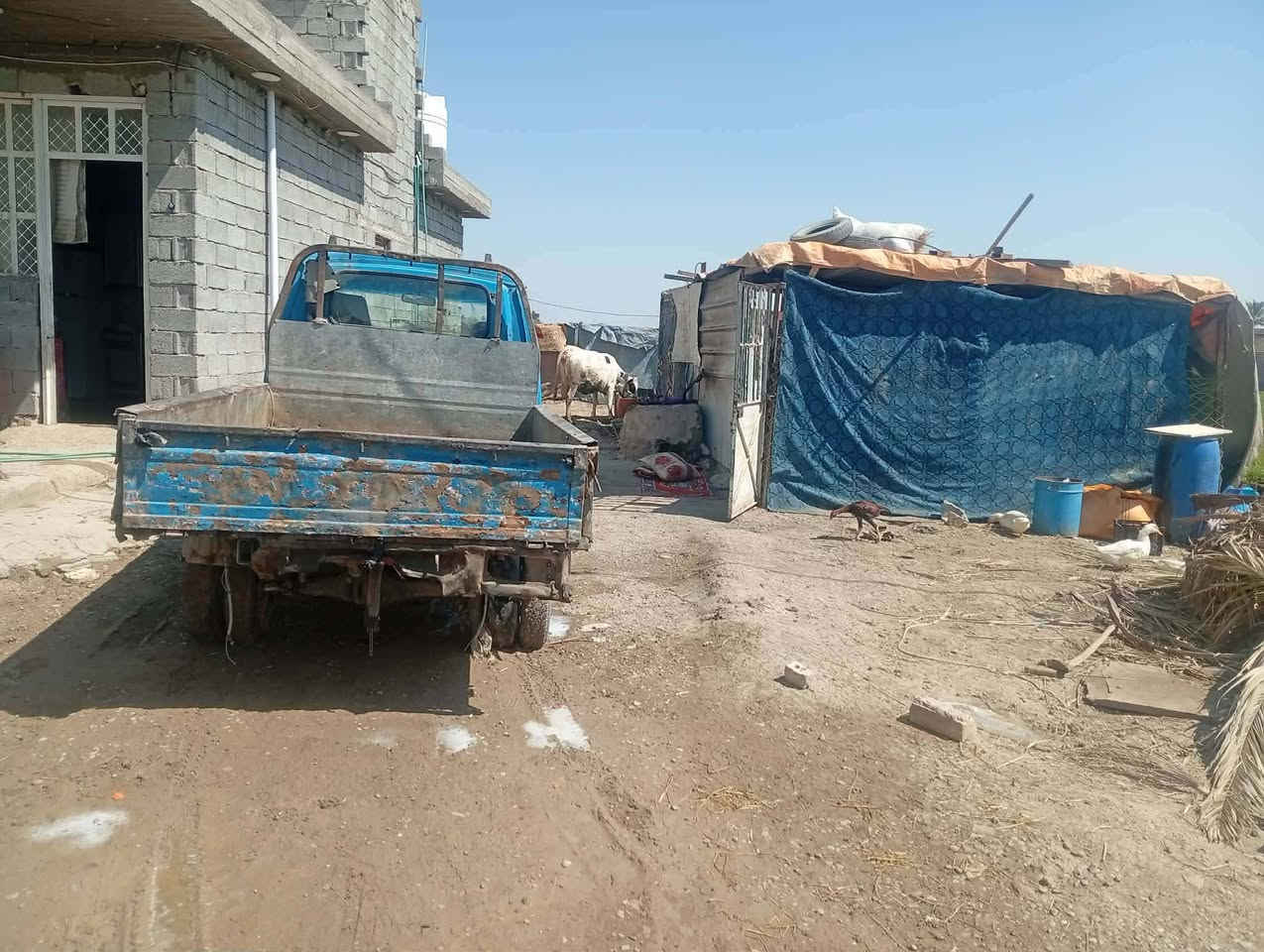 سلام عليكم سيار بنكو دوات  مكينه كير شاصي مكفولات ١٨وبيه مجال مكاني بغداد شعله


**إذا كنت صاحب هذا الإعلان وتريد حذفه لأي سبب، رجاءا أرسل رسالة إلى الدعم الفني**